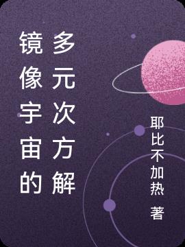 镜像宇宙的多元次方解