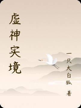 虚神实境