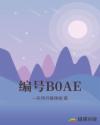 编号B0AE