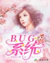 BUG系统