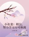 小农妻：相公,努力学习方可和离