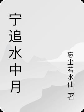 宁追水中月